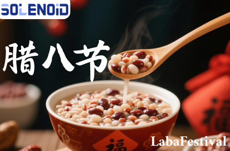 Laba Celebration: F00RJ02697 Solenoid Valve Special Offer